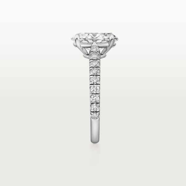 Solitaire 1895  Platinum, diamonds