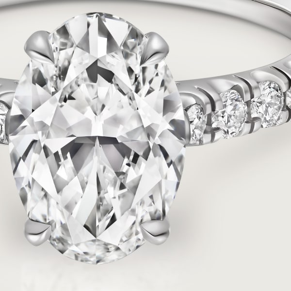 Solitaire 1895  Platinum, diamonds